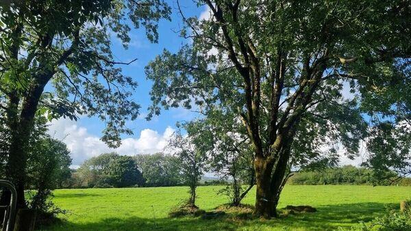 29-acre North Cork land parcel already under offer